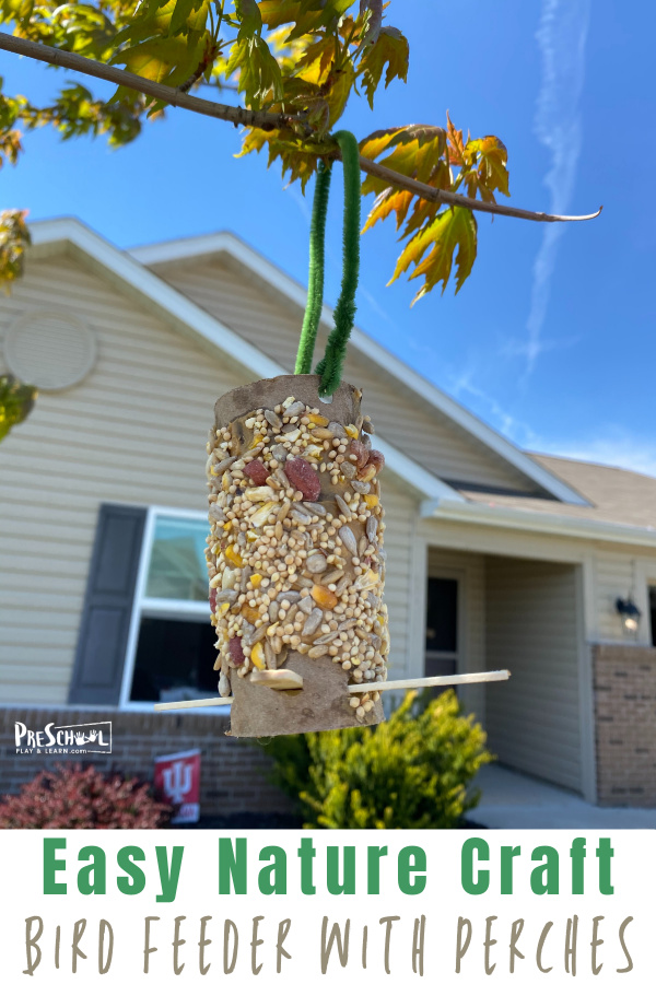 Simple DIY Toilet Paper Roll Bird Feeder for Kids