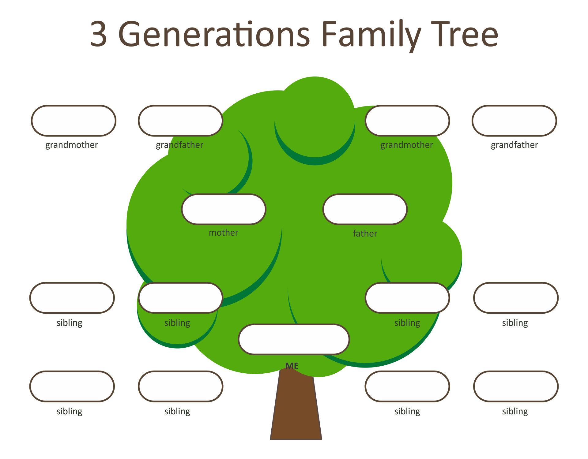 Creating A Family Tree Diagram