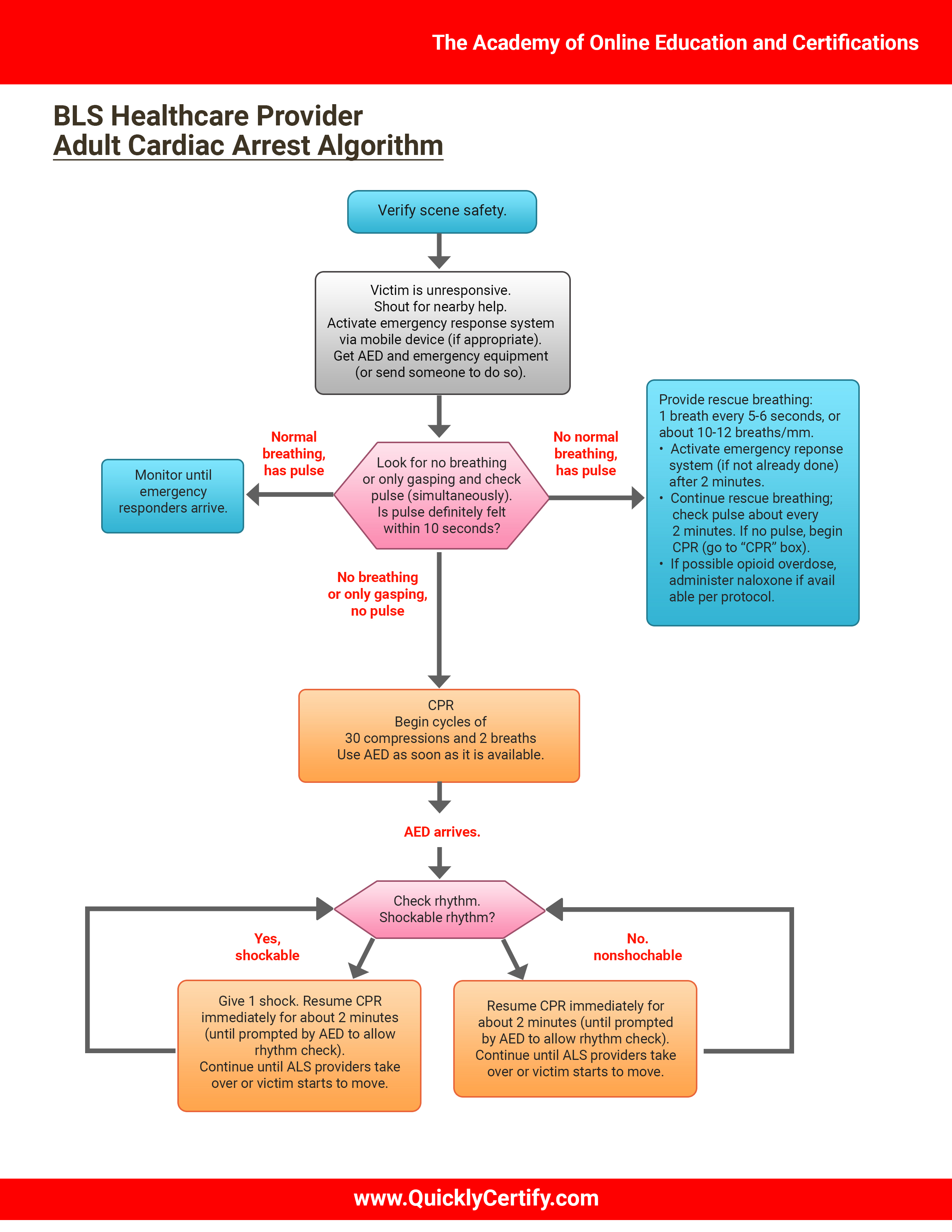 Adult Basic Life Support Algorithm For Health Care Providers