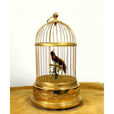 Playing Cage With A Bird In Gilded Bronze France 1920