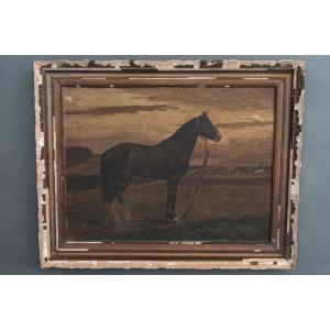 19th Century Oil On Panel Representing A Horse