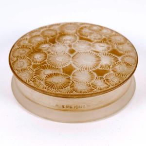 1920 René Lalique - Box Marguerites Daisies Glass With Sepia Patina