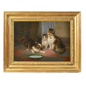 Antique Cats Portrait Painting, Portraits Of Cats, Oil Painting On Canvas, 19th Century. (qa624