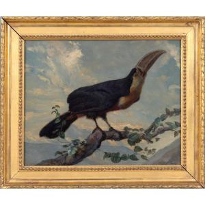 Louis Guery (1828–1893) - Red-bellied Toucan - Oil On Paper