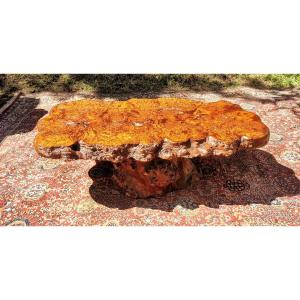 Coffee Table - Brutalist Design - Furniture With Thuya Tree Root - 20th Century