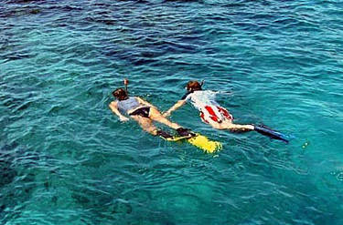 Image representing Snorkeling