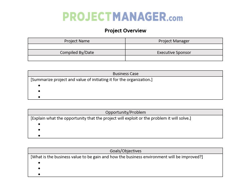 Free 12 Sample Project Overview Templates In Pdf Ms Word - Gambaran