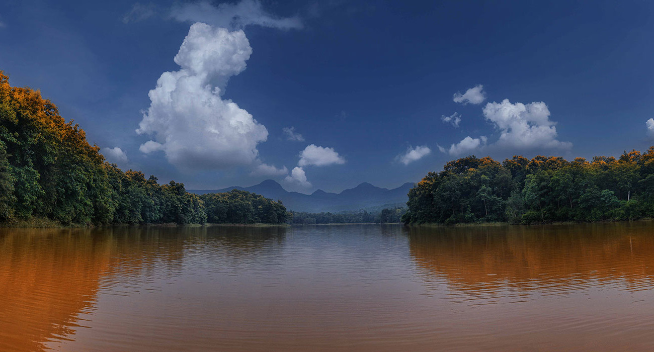 Tiger Safari in Satpura National Park