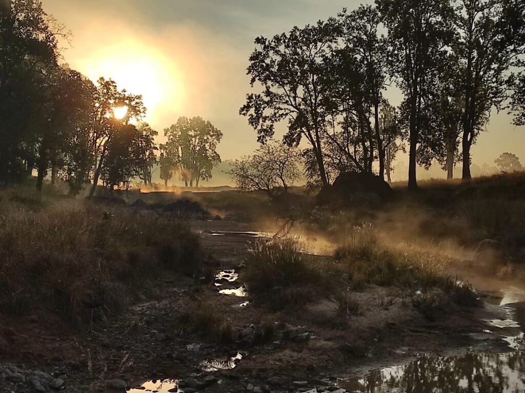 Sunrise in Kanha National Park