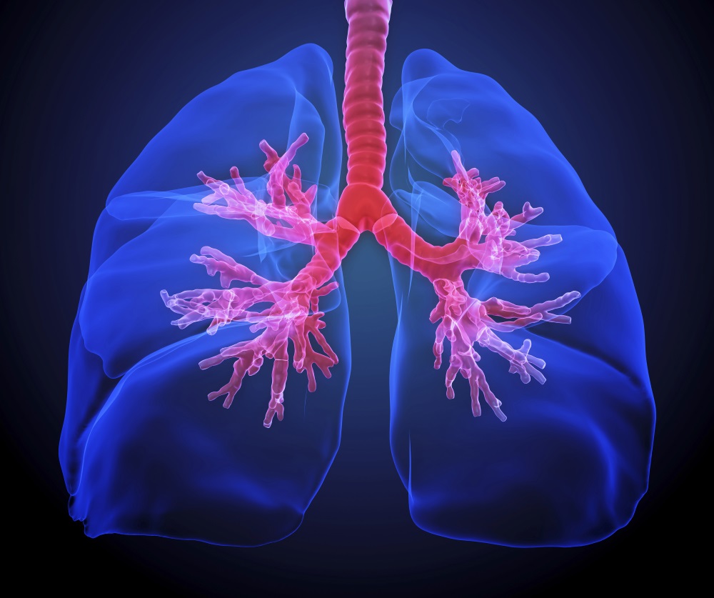 Ofev Shown to Slow Idiopathic Pulmonary Fibrosis Progression Long-Term ...