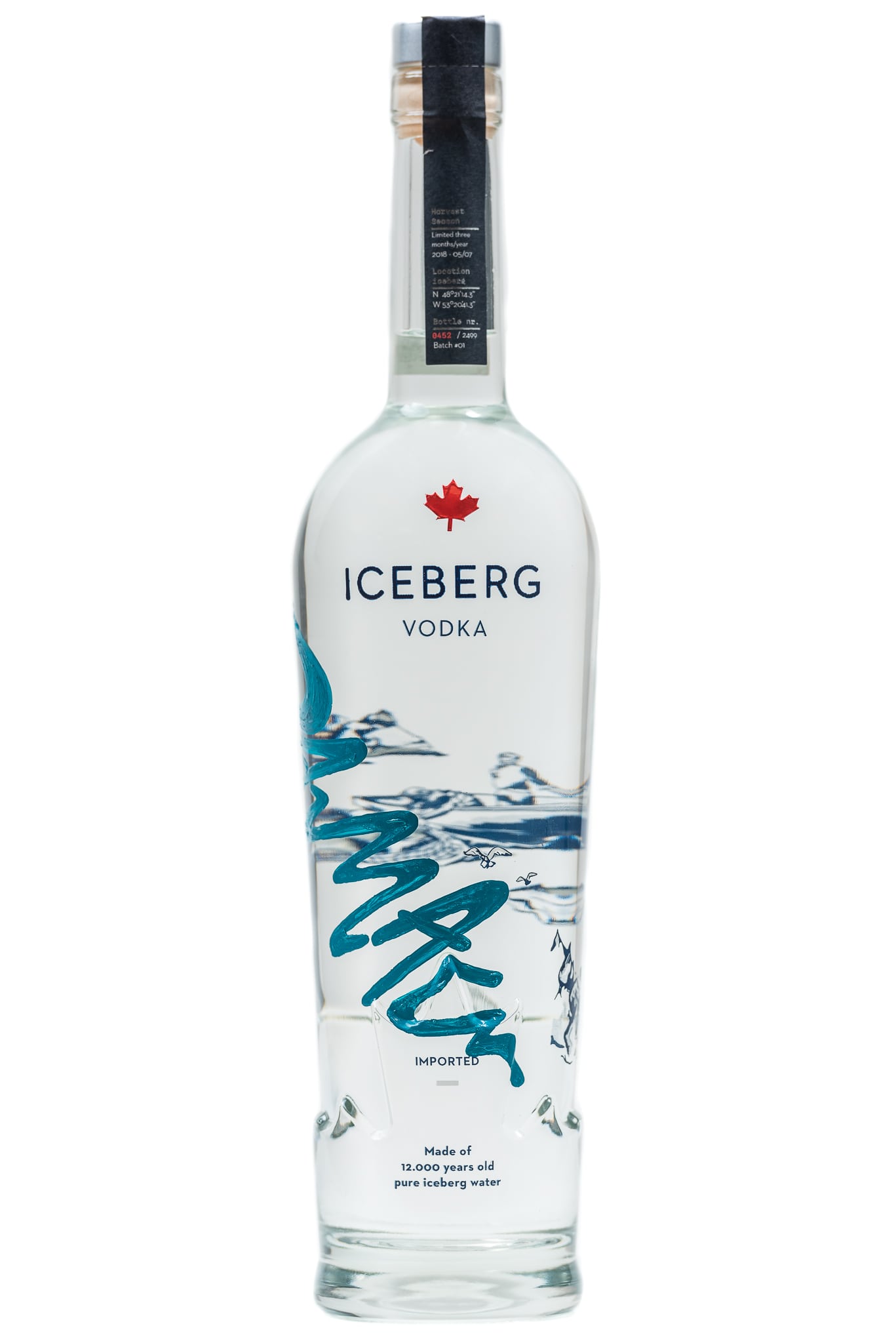 Logo bottle vodka – IceBerg