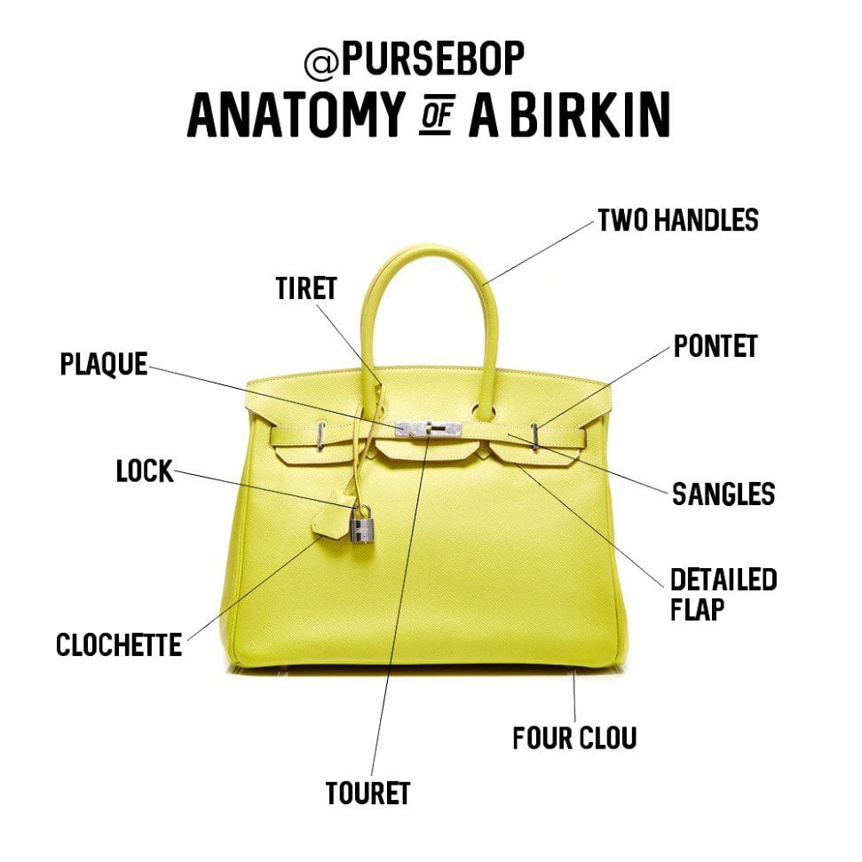 anatmy birkin