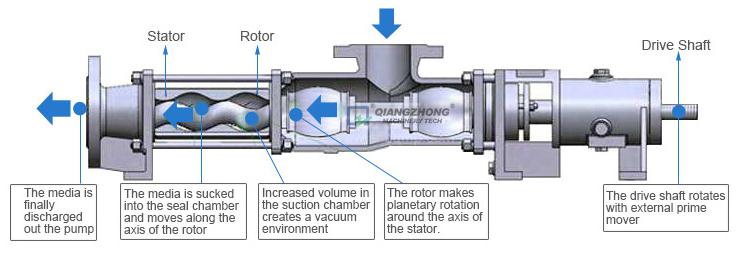 China Sanitary Screw Pump Manufacturer and Supplier | Qiangzhong