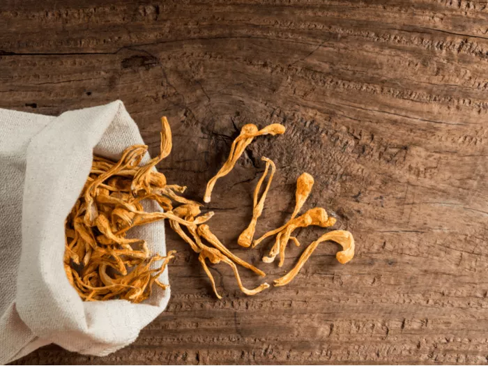 The Scientific Evidence for the Health Benefits of Cordyceps - 94