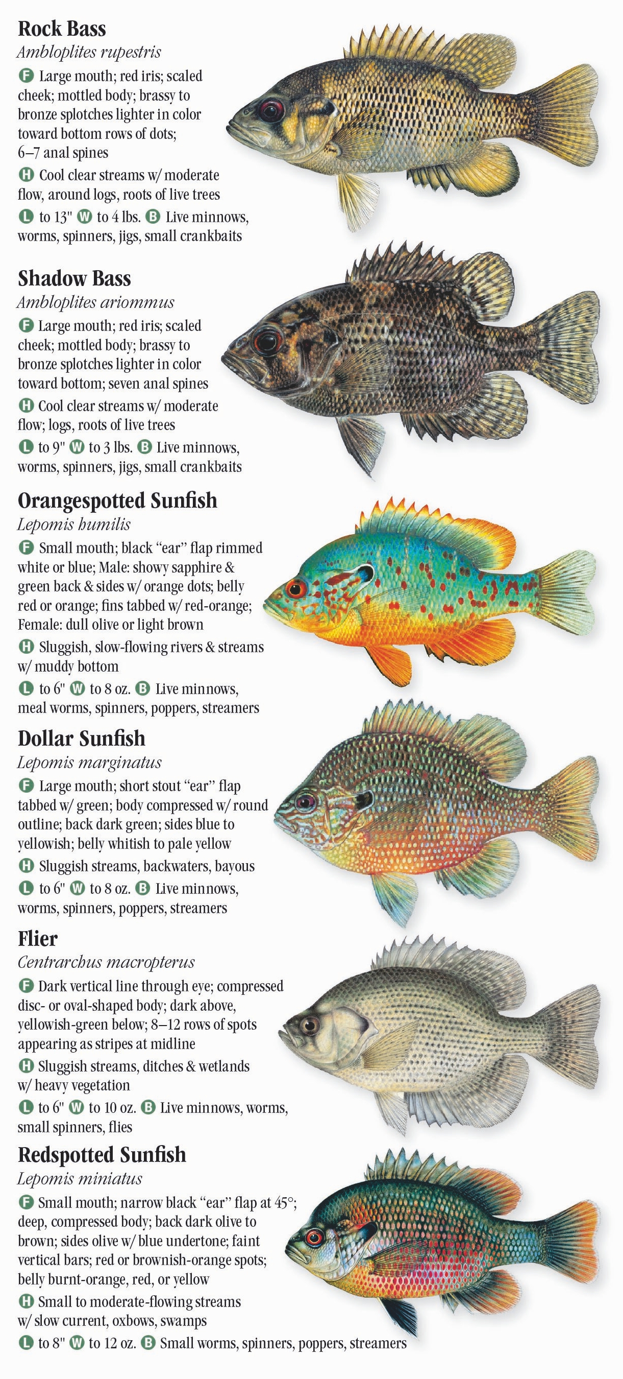 Freshwater Fishes of Alabama & Mississippi – Quick Reference Publishing