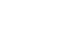 RaceChip