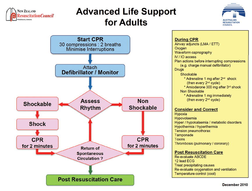 9 Acls Ideas In 2021 Acls Advanced Cardiac Life Suppo - vrogue.co