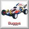 Tamiya Buggys