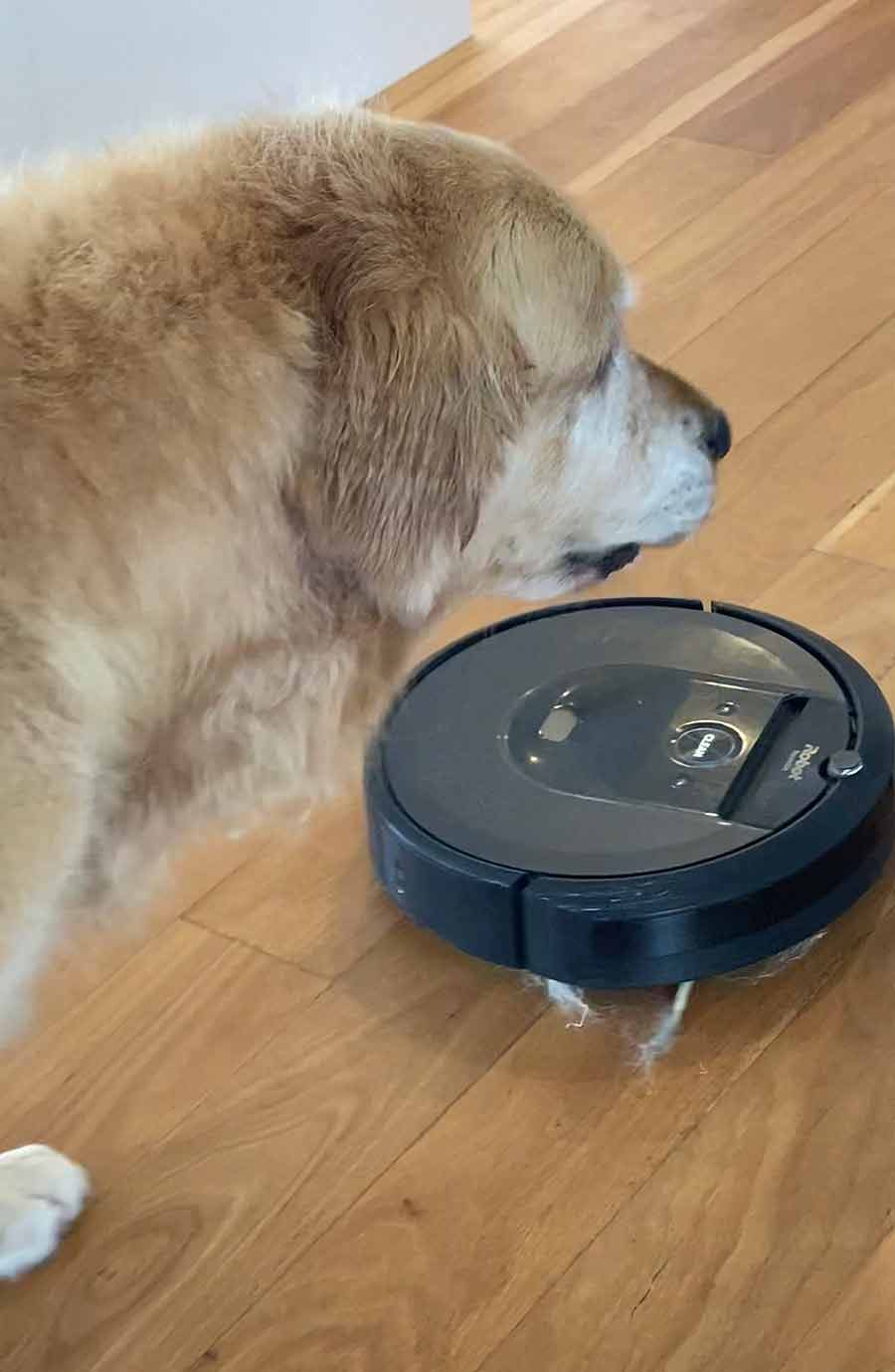 Dozer with Roomba