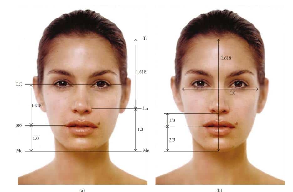 Perfect Face Proportions Golden Ratio