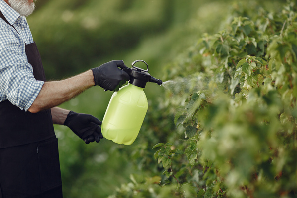 A Good Way to Fertile Your Garden with Organic Fertilizer