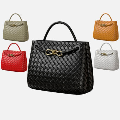 Bottega Veneta Andiamo Bag