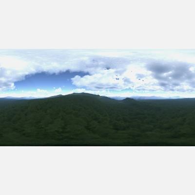 Afternoon Forest HDRI Sky