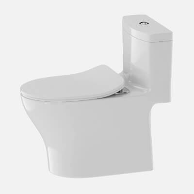 Aqua IV One-Piece Toilet