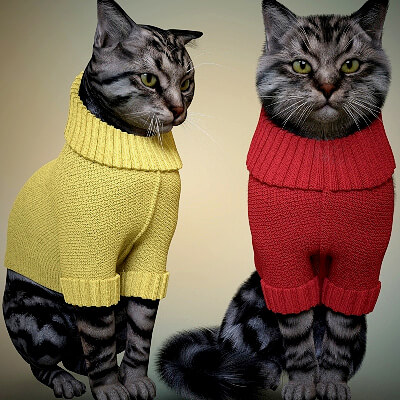 Casual Sweater for Cat Mars