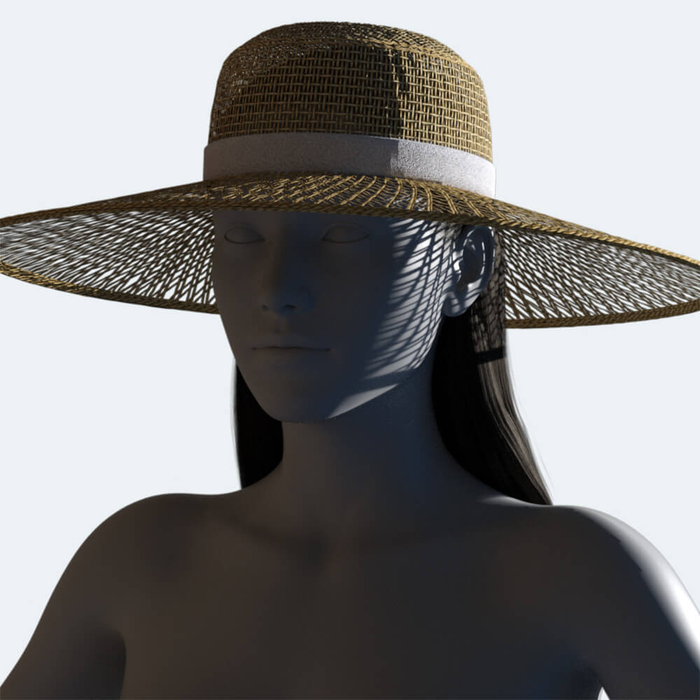 NM Dana 2 Hair and Hat for G9 and G8 Daz Content