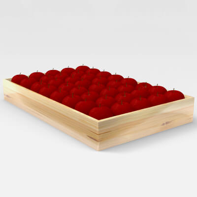 Apple - Apple Tray 3D Model