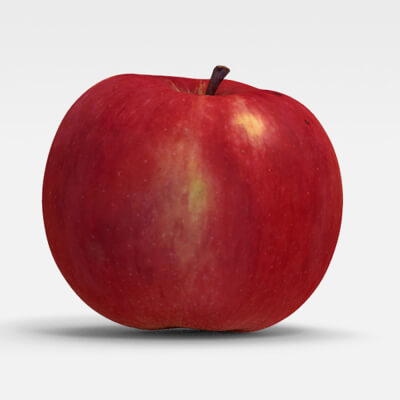 Apple - Red Apple 3D Model