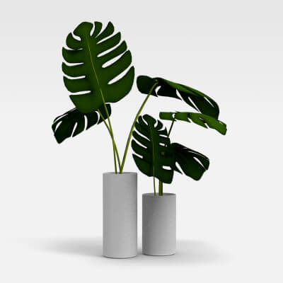 Potplant - Home Decor Plant 3D Model