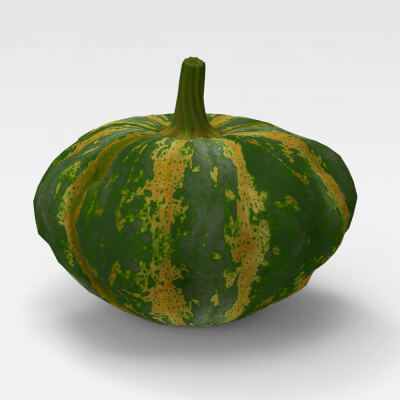 Pumpkin - Vegetable 3D Model