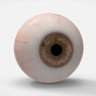 Realistic Eye 3D Model