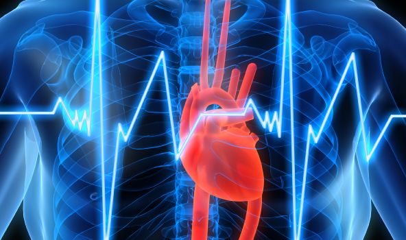 EKG' nin Yorumlanması