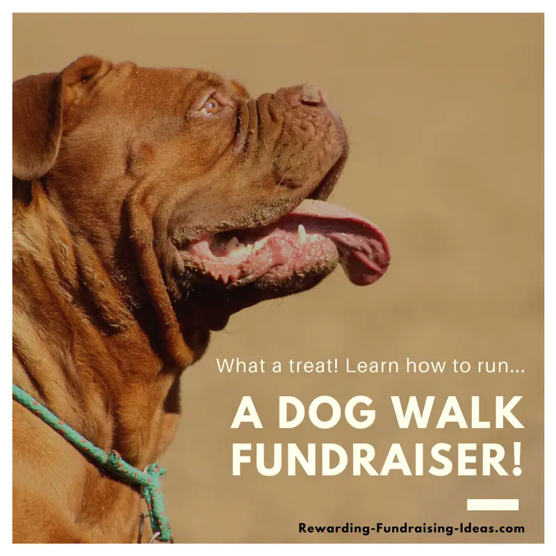 A Dog Walk Fundraiser - A Peer-to-Peer (a-Thon) style fundraising idea...