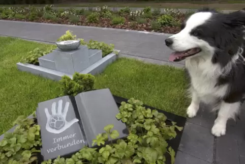 Mustergrab auf einem Essener Friedhof, wo sich Mensch und Haustier gemeinsam bestatten lassen können.