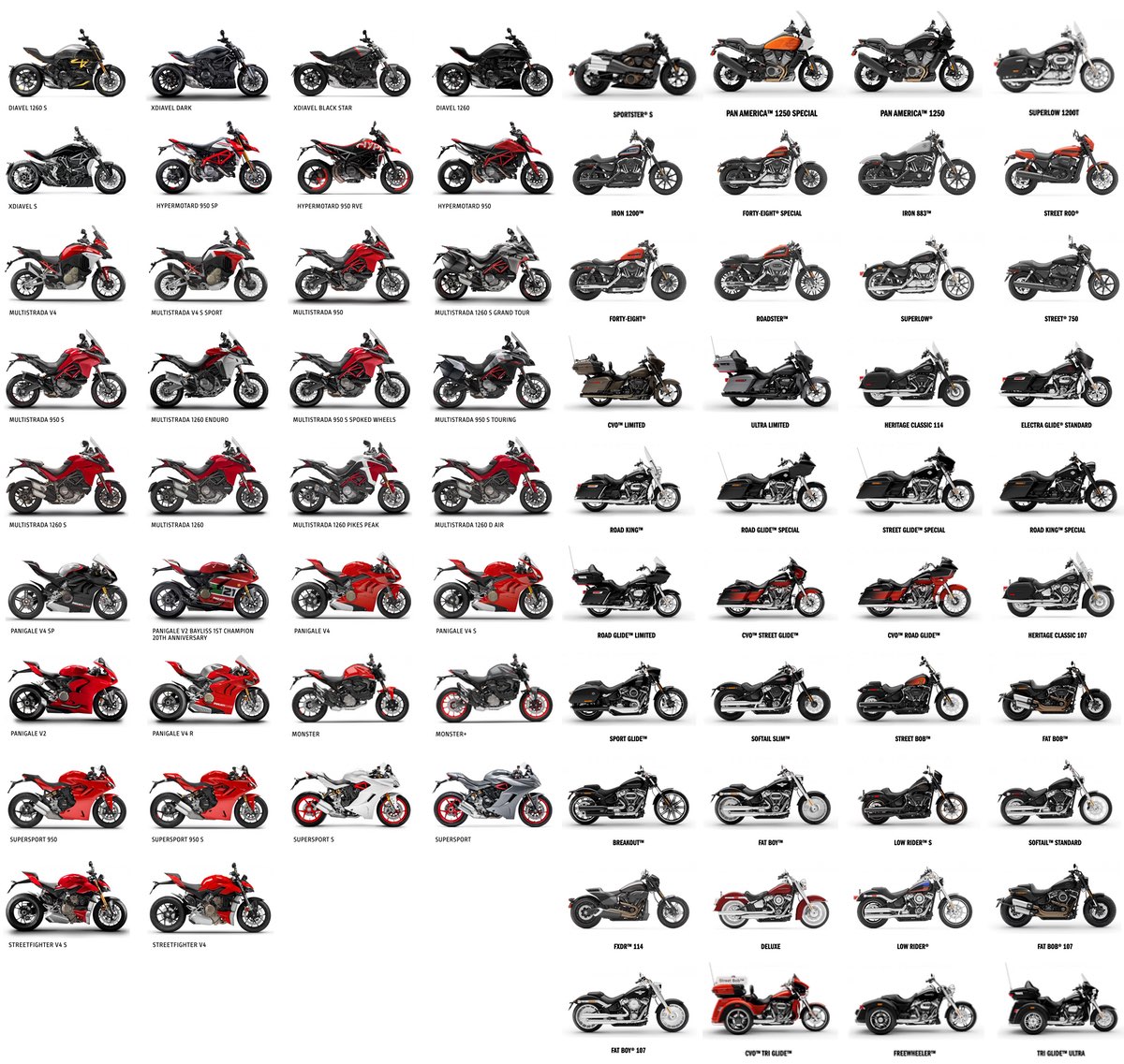 Motorcycle Types Chart | Reviewmotors.co