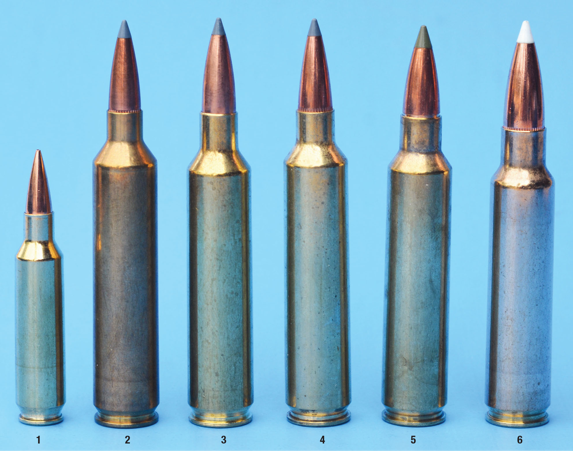 Trendsetting Rifle Cartridges | RifleMagazine