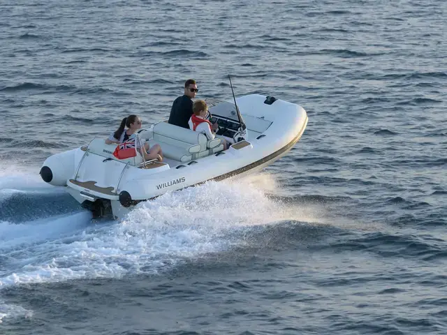 Williams Jet Tenders Dieseljet 445