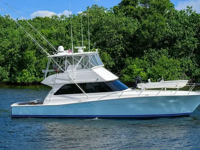 Viking 50 Convertible