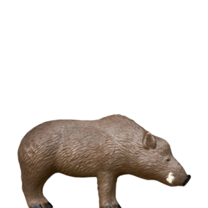 boar