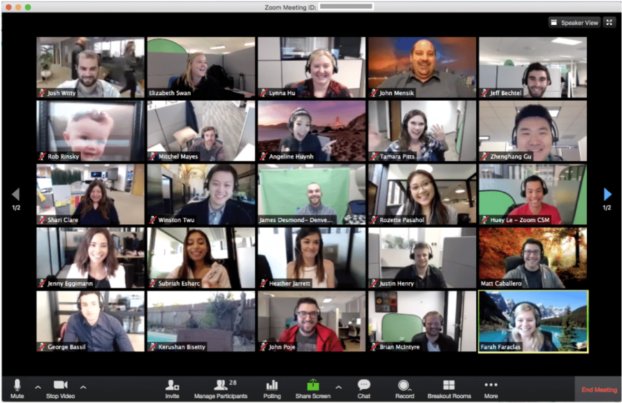 One of the types of software for a business that enables video conferencing is Zoom.