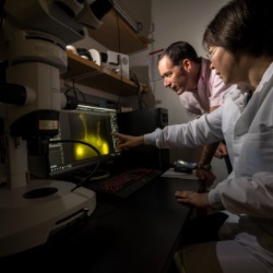 In a University of Rochester lab, two individuals are intently looking at a computer screen.