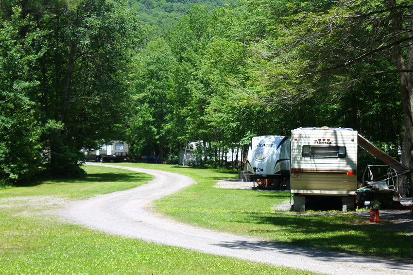 Gray Squirrel Campsites Beavertown Pa 0