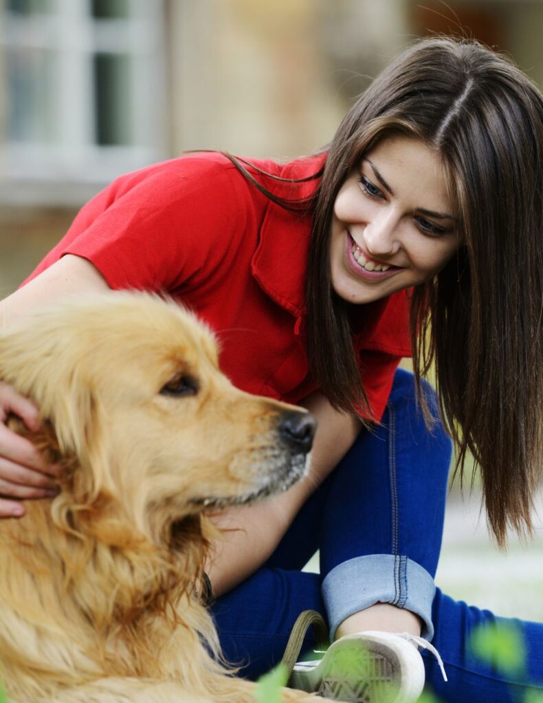 photo of a dog with a person