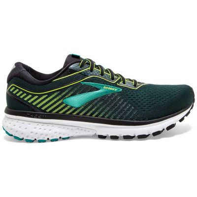  Brooks Ghost 12