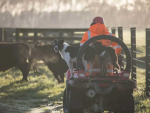 On average, FMG receives one claim for a quad bike roll over for every day of the year, and it says these claims tend to increase in the lead up to Christmas as people work longer hours and attempt to navigate the pressure of the summer season.