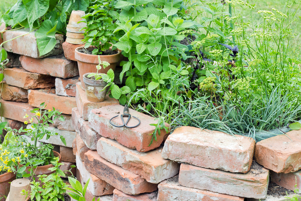 Brick raised bed